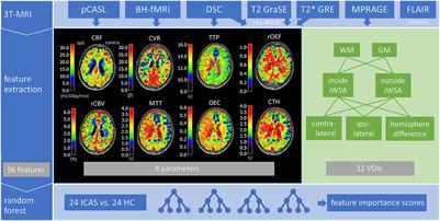 Hemodynamic MRI parameters to predict asymptomatic unilateral carotid artery stenosis with random forest machine learning